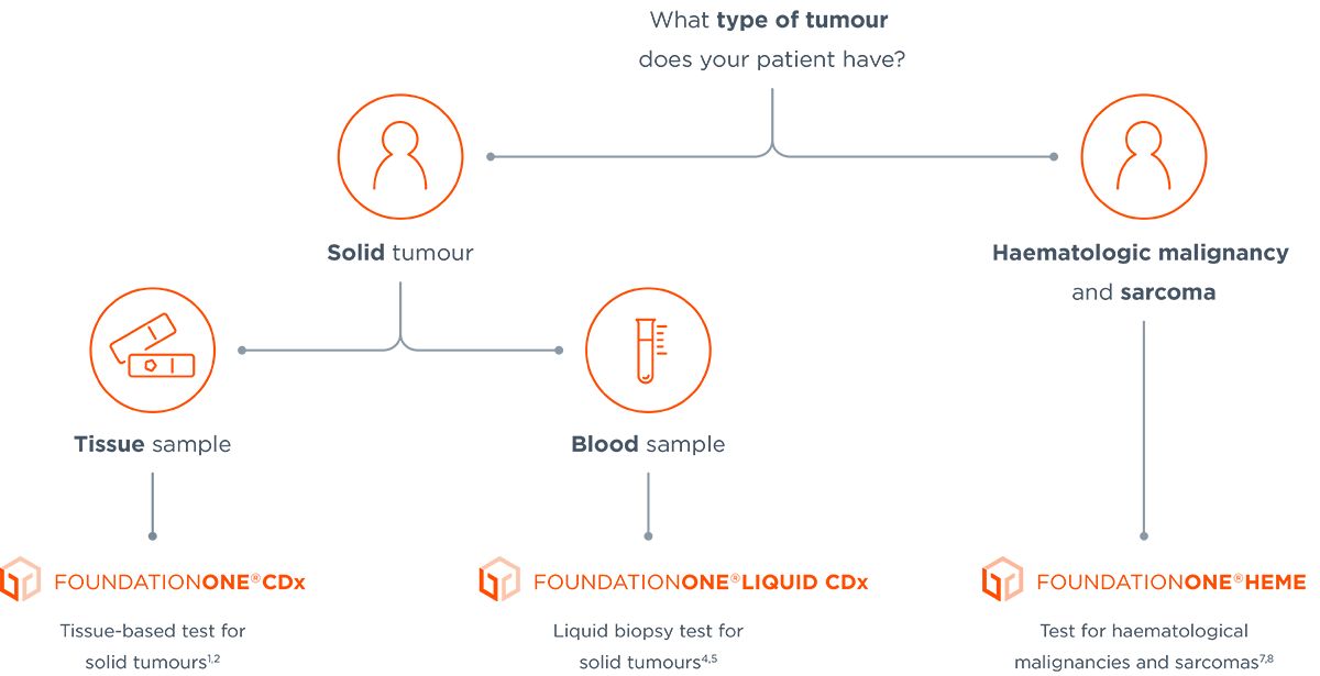 Roche Foundation Medicine | Our Services