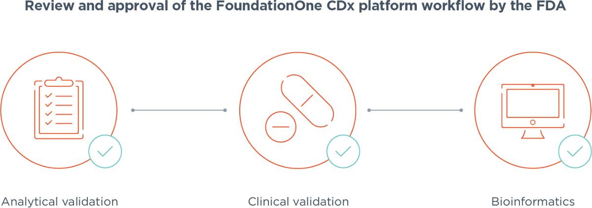 Foundationone FoundationOne®CDx