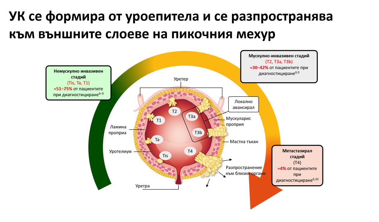 Diagnoza