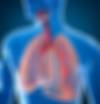 Smrtelná nemoc ničí plíce – těžko se diagnostikuje