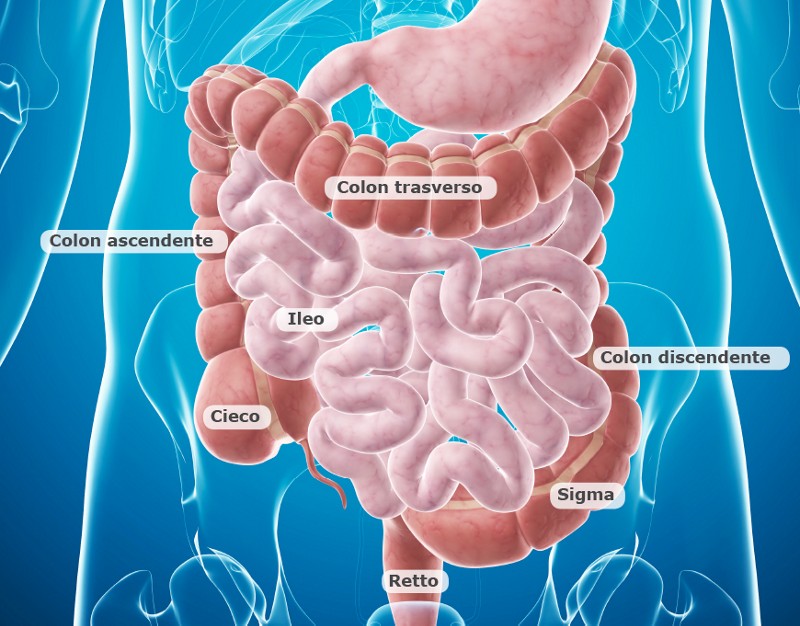 Tumor benigno intestino delgado síntomas