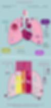 infografica-tumori-primari-al-polmone