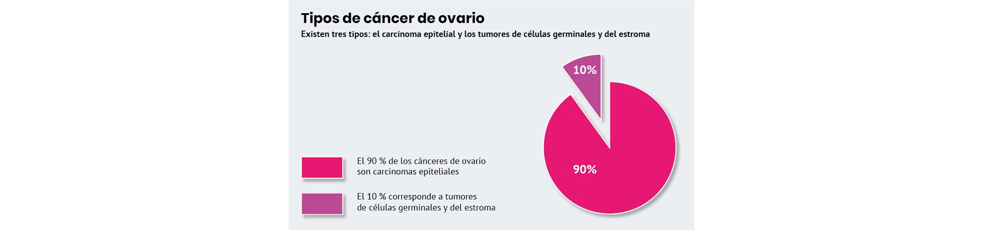 ¿qué Son Los Ovarios Roche Pacientes